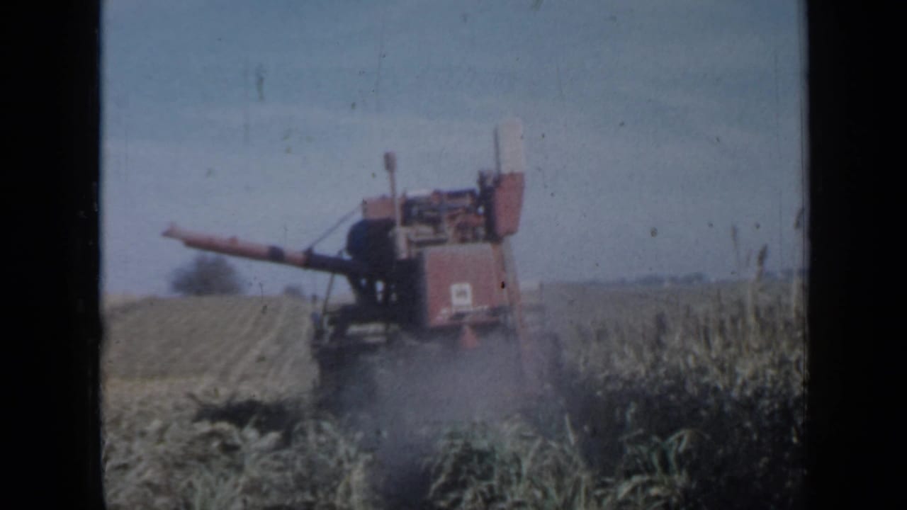 A red thresher works through a Minnesota crop field in 1958, with dust rising behind the machine under a pale sky.