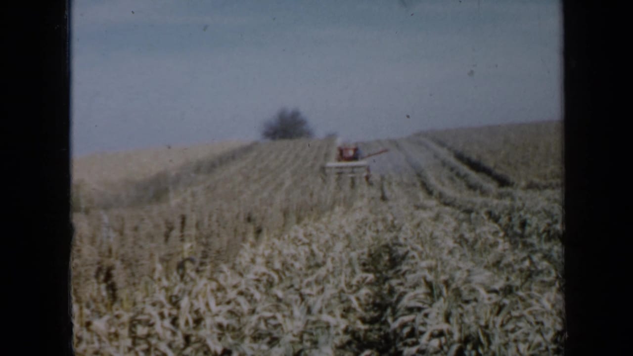 Distant red machine at the top of crop rows in an open field.