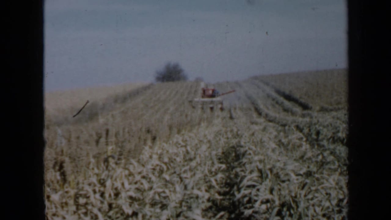 1958 Minnesota 8mm frame showing a distant red combine harvester working through a cornfield with dark film borders.