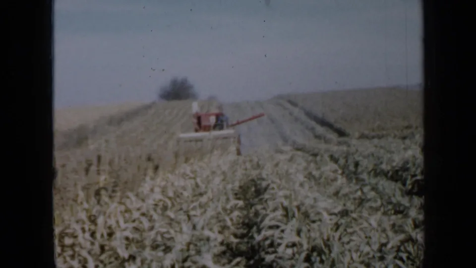 The red combine is nearer in the frame, working through mature corn in a 1958 Minnesota farm scene.
