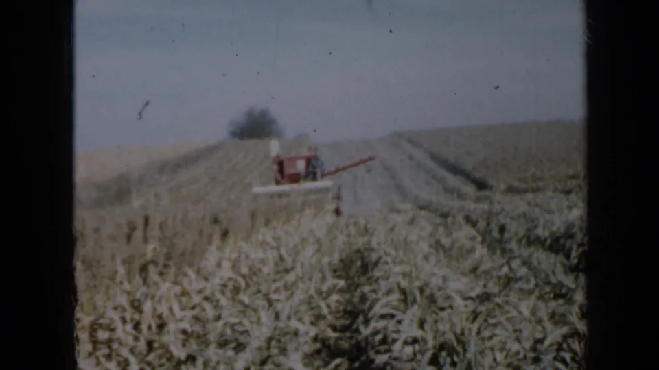 A red combine continues harvesting in a Minnesota cornfield, framed by faded 1958 8mm color film.