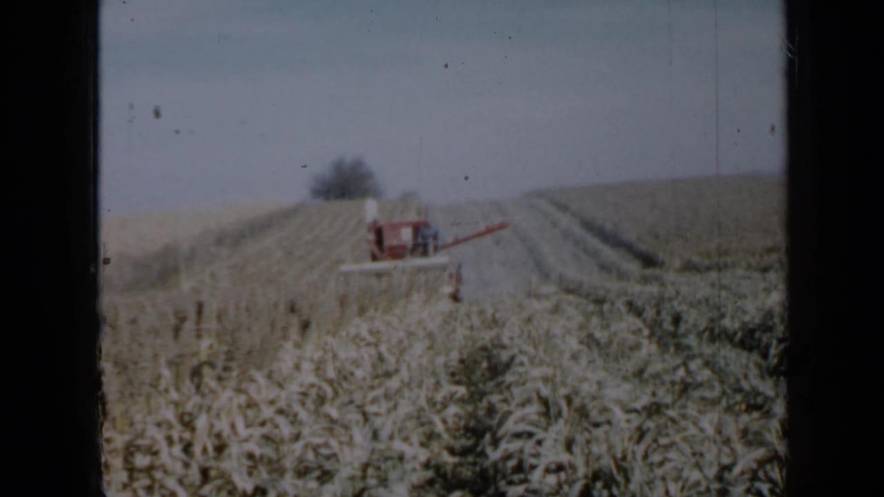 Red combine working through crop rows under a pale sky.