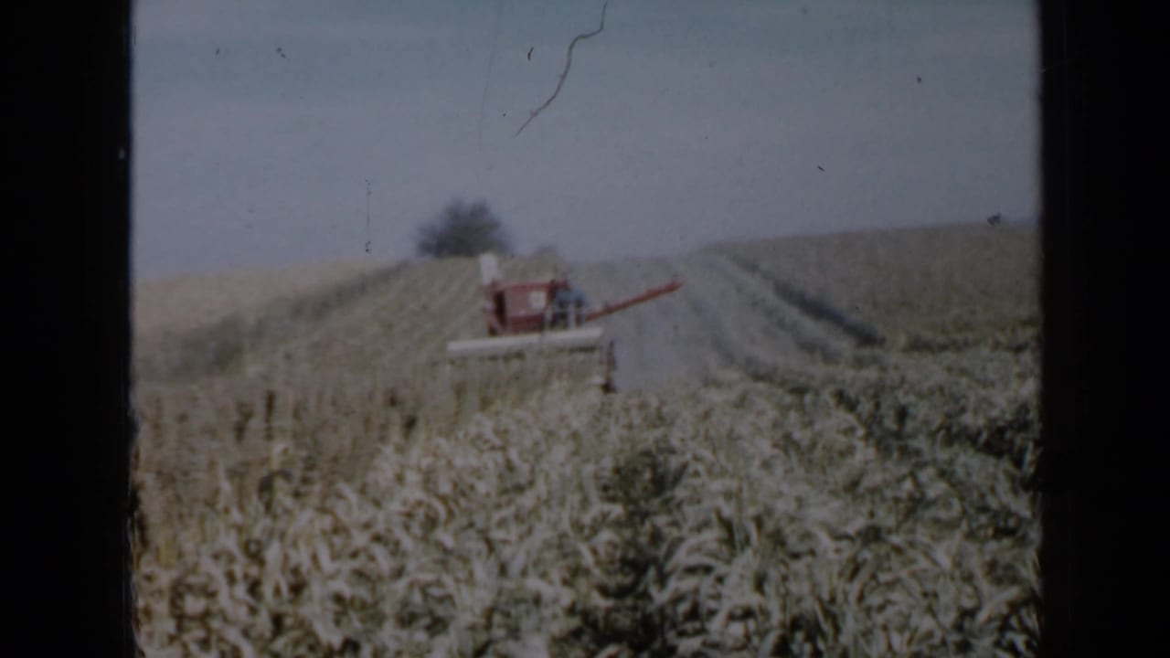 Red combine in a Minnesota crop field, seen from a fixed 8mm home-movie viewpoint with dark frame borders.