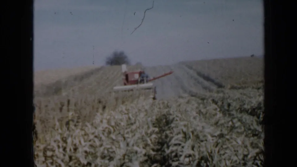Red combine in a Minnesota crop field, seen from a fixed 8mm home-movie viewpoint with dark frame borders.