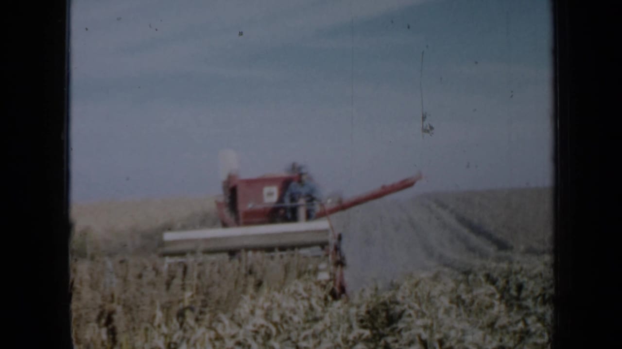 Red combine harvester moving through a wheat field with an operator visible at the controls.