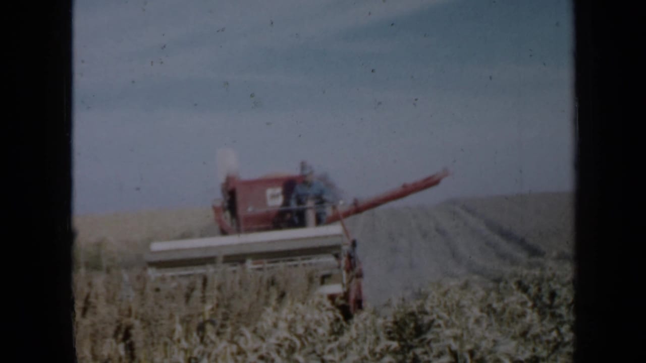 Combine harvester seen in profile in a wheat field, with a worker seated on the machine.