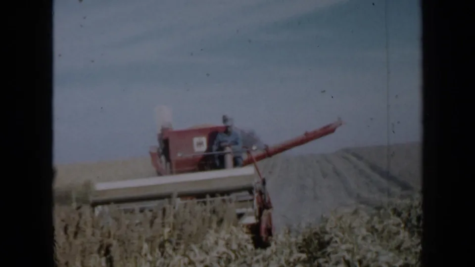 1958 Minnesota 8mm footage frame showing a farmer on a red combine as it harvests wheat beside neat cut rows.