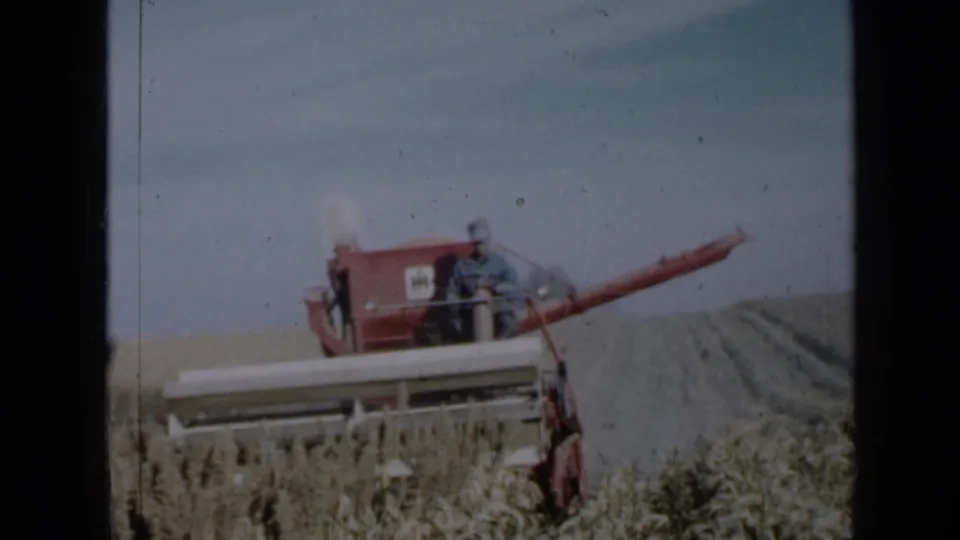 1958 Minnesota home-movie frame of a red combine and operator harvesting wheat, with visible 8mm borders and film wear.