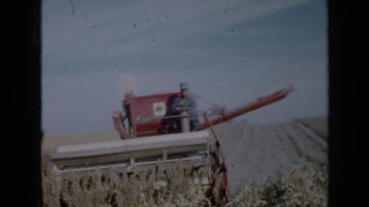 1958 Minnesota home-movie frame of a red combine harvester cutting through crops with a farmer visible at the controls.