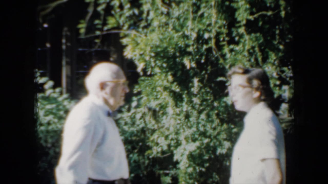 Older man in a white shirt and bow tie faces a younger woman outdoors near dense greenery.