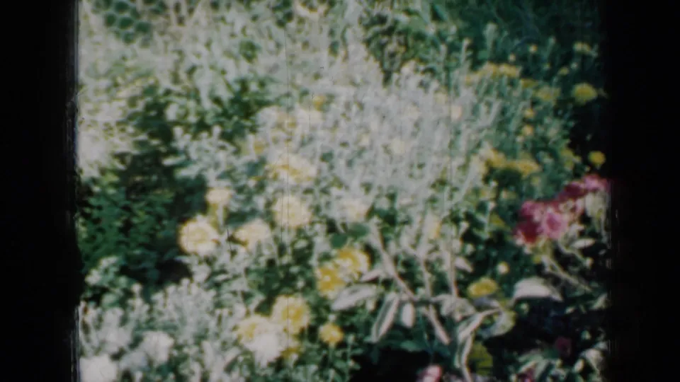 The final frame shows a bright 1958 Minnesota garden view with yellow flowers, pale blooms, and dense green foliage.