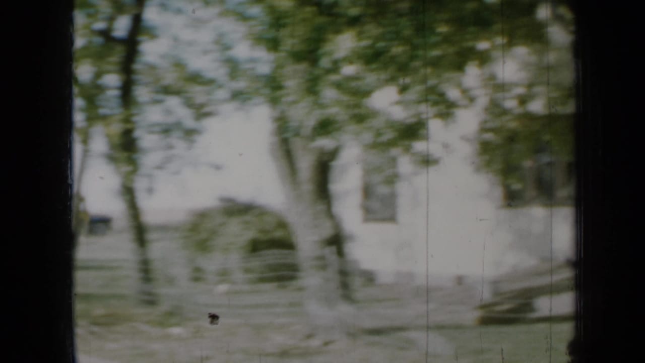 Soft 8mm view through window framing, with trees and a pale residential building visible beyond.