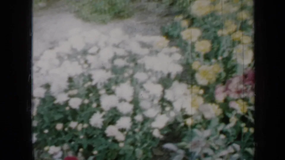 The 8mm frame shows white and yellow garden flowers near a pale path or ground area, with a small pink bloom visible among the foliage.