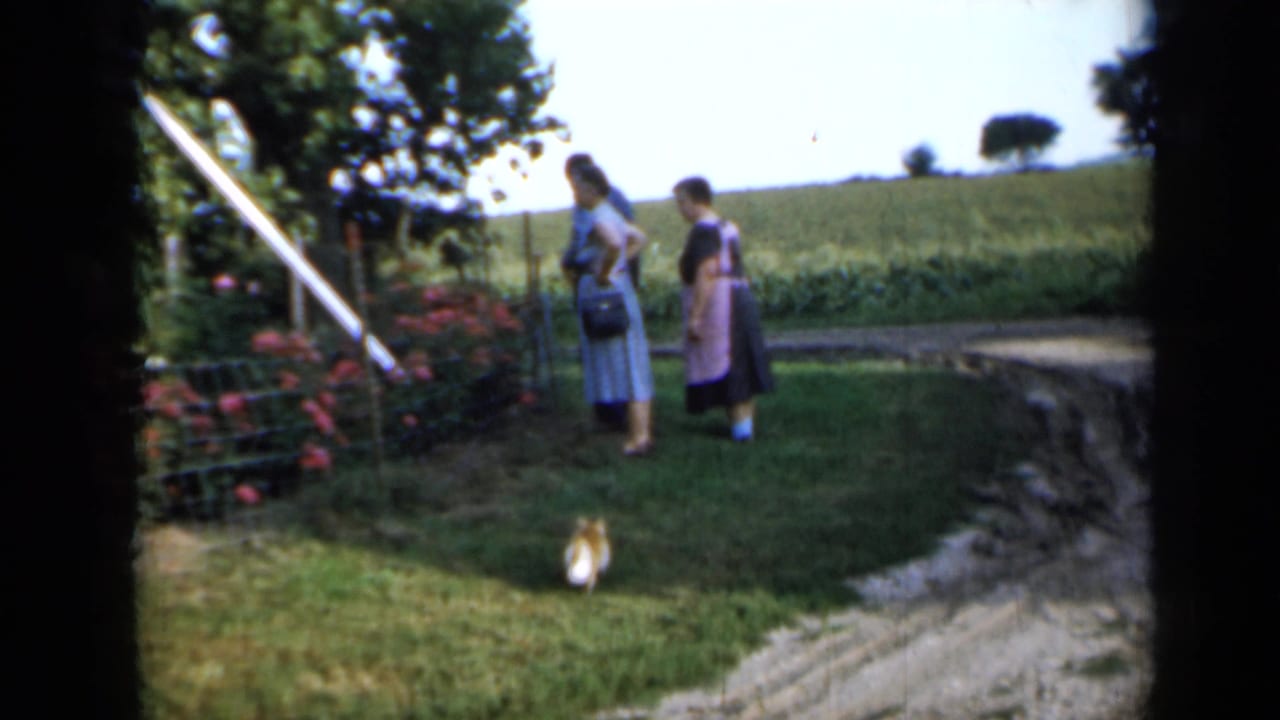 Three women stand on grass near a garden, with a small dog in the yard and fields behind them.