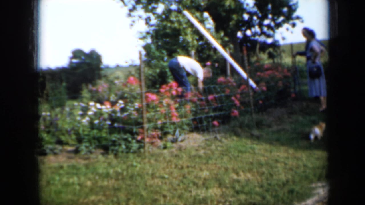 1958 Minnesota 8mm frame showing a flower garden, a woman nearby, and a man bending over plants in a rural yard.
