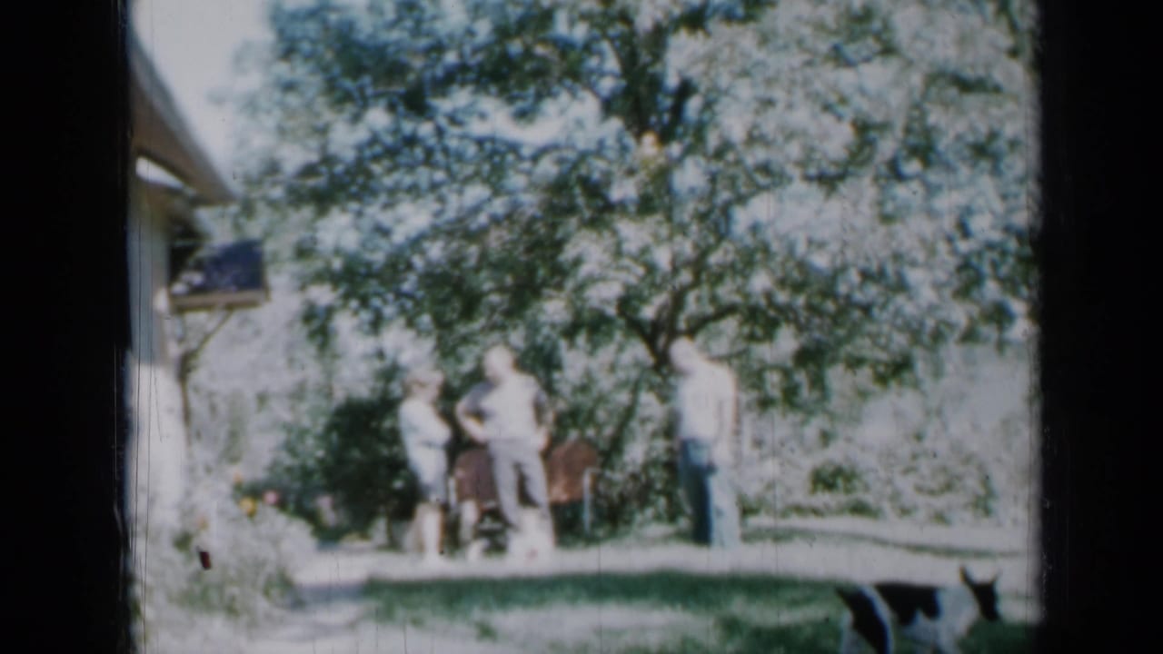 1958 Minnesota backyard scene with several adults near a house exterior, a large tree, garden plants, and a dark dog on the grass.