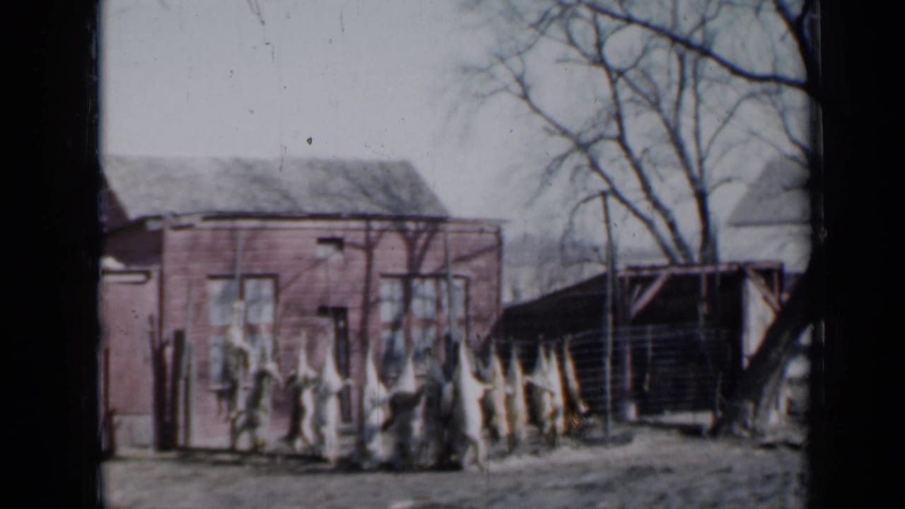1958 Minnesota home-movie frame of dressed pigs hanging near a red barn, with winter-bare trees and a dark shed at right.
