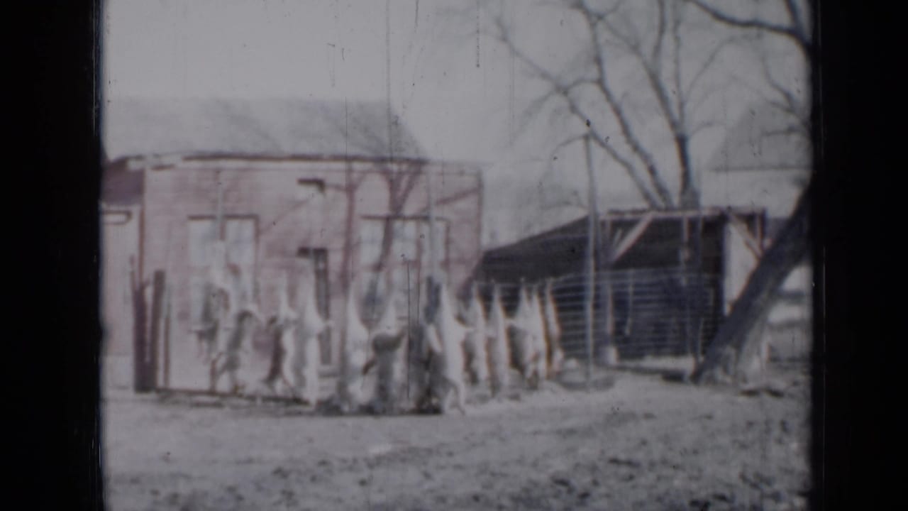 1958 Minnesota 8mm frame showing two small suburban houses, a fence, bare trees, and faint people near the yard edge.