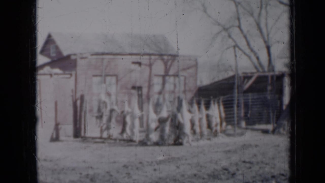 Suburban houses and fence with bare branches and faint figures in the yard.