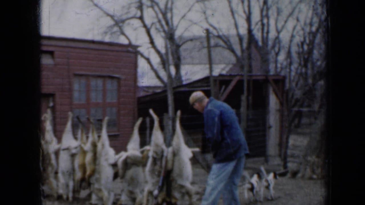 Man in a blue coat stands near hanging skinned rabbits beside a small dog in a bare backyard.