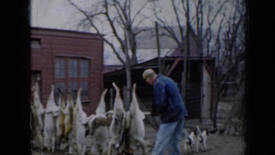 In 1958 Minnesota home-movie footage, a man in a blue coat stands by hanging skinned rabbits as a small dog moves nearby.