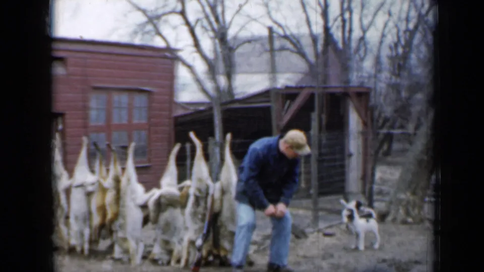 A man in a blue coat bends near a row of skinned rabbits in a Minnesota yard, with a small black-and-white dog at right.