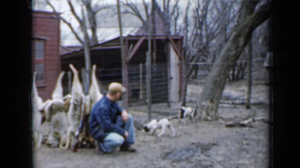 The man kneels beside the hanging rabbits in a rural Minnesota backyard while small black-and-white dogs move in the background.