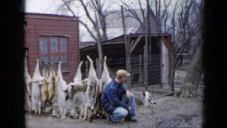 In the final frame, the man kneels near the rack of skinned rabbits as a small dog stands near the red outbuilding and wire enclosure.