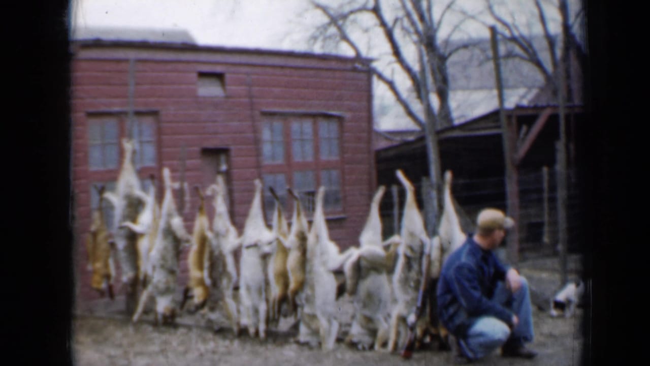 Man crouches near a row of hanging animals with a small dog nearby.
