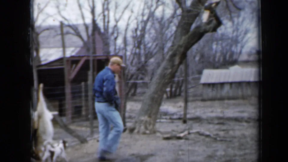 The man continues across the 1958 Minnesota yard near a large bare tree while two dogs follow behind him.