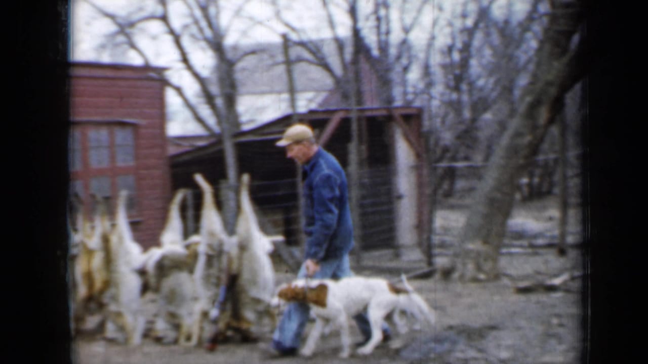 Man walks beside a dog near hanging skinned animals and a red outbuilding.