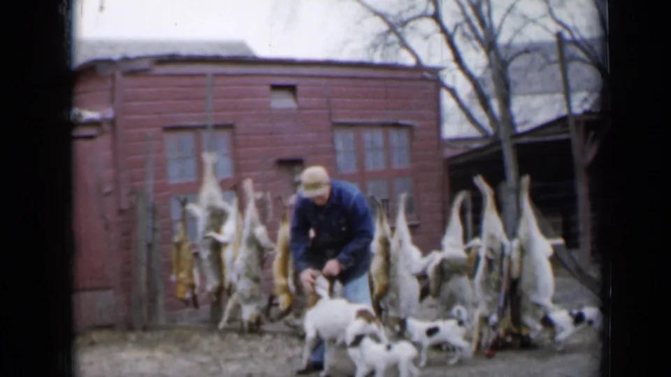 A man in a cap bends to handle a dog as a puppy stands nearby, with skinned animals hanging against a red farm building.