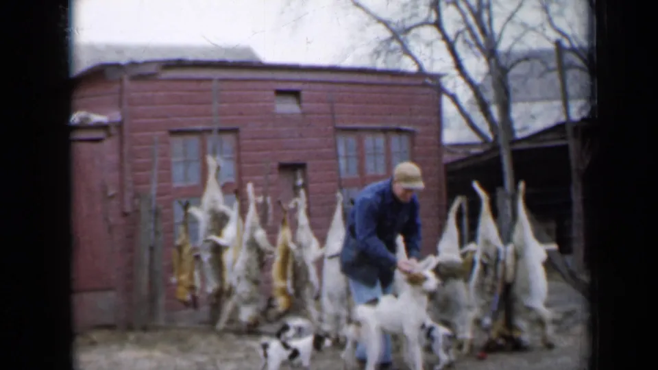 The final frame shows the man bending over a dog in the farmyard as a puppy moves nearby and skinned animals hang behind him.