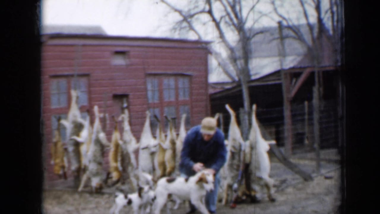 Man kneels with a hunting dog and puppies near hanging animal carcasses by a red wooden building.