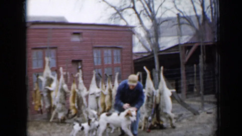 In Minnesota 1958 home-movie footage, a man in a blue jacket kneels with dogs before hanging animal carcasses and a red outbuilding.