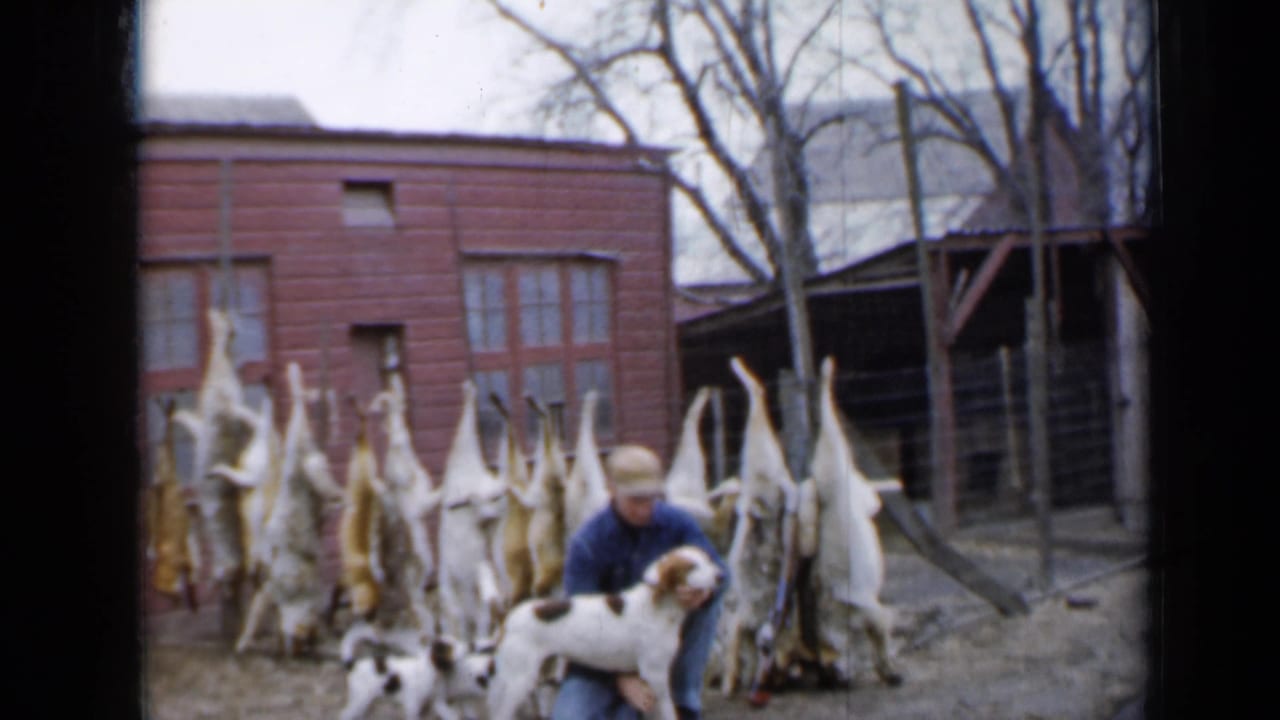Man holds a white and brown dog while puppies move in front of hanging carcasses.