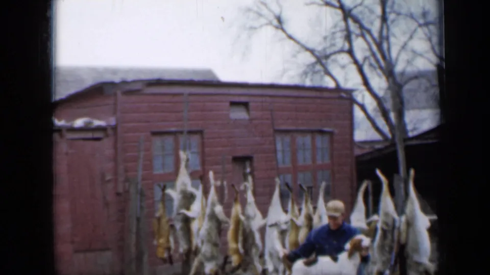 At the end of the brief 1958 Minnesota clip, the man remains crouched with a dog near carcasses hanging in a rural yard.