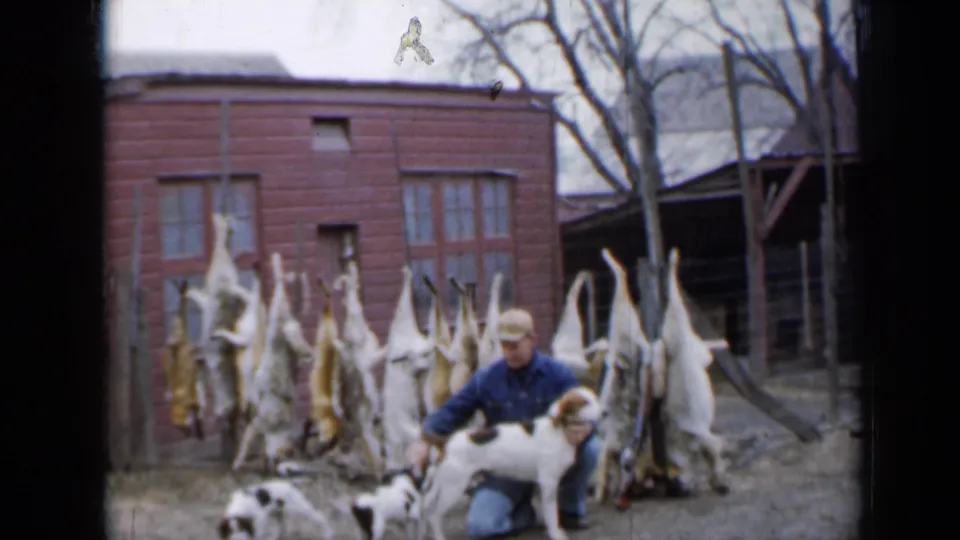 A hunter kneels with a white and brown hound as a smaller dog appears in the foreground, with pelts and a red outbuilding behind them.
