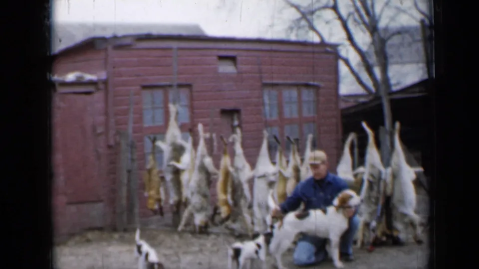 The final frame shows the hunter and hound posed in a Minnesota yard, with hanging coyote pelts and a red wooden building visible behind them.