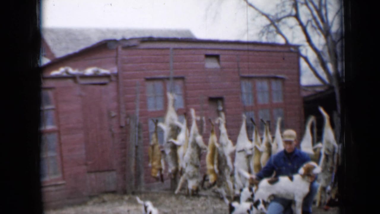 Hunter kneeling with a dog in front of hanging game beside a red wooden shed.
