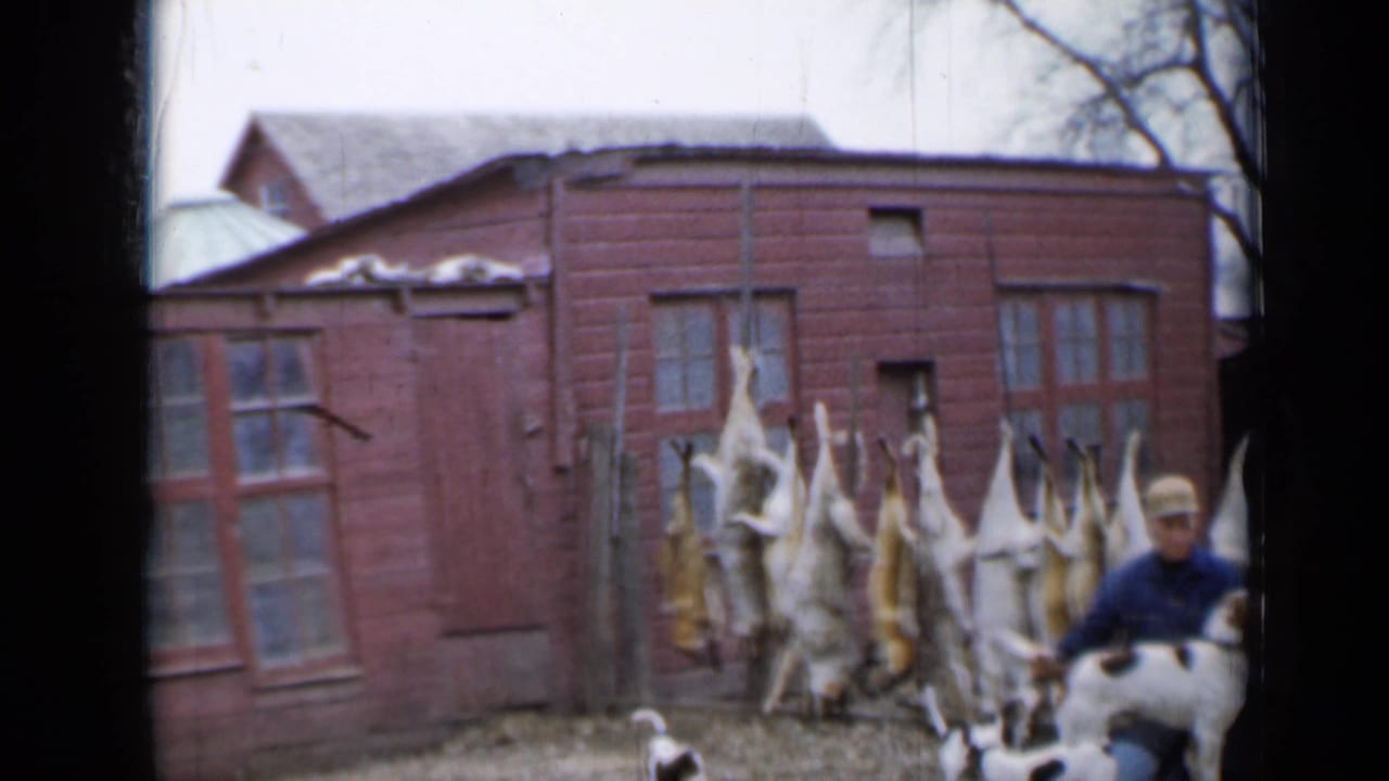 Hunter partly at right with a dog and rows of hanging game against a red shed.