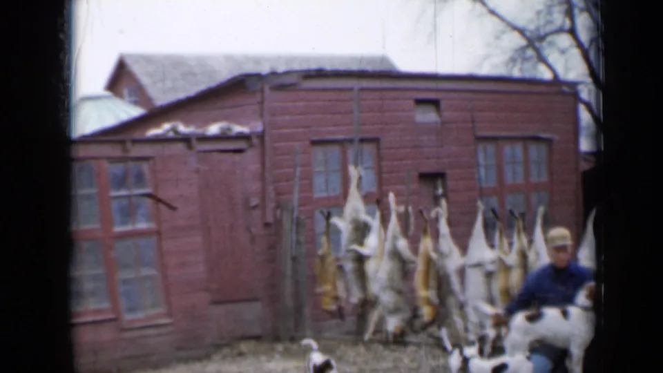 1958 Minnesota 8mm frame showing a hunter at right, a dog, and hanging harvested game outside a red wooden shed.