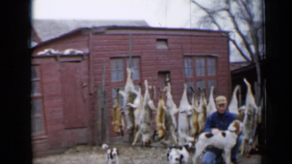 1958 Minnesota frame with multiple dogs, a kneeling hunter, and hanging harvested game in a rural yard.