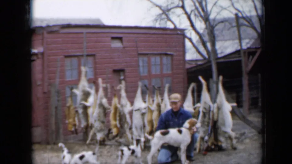 1958 Minnesota home-movie still of a hunter kneeling by a dog, with other dogs and hanging game outside a red shed.