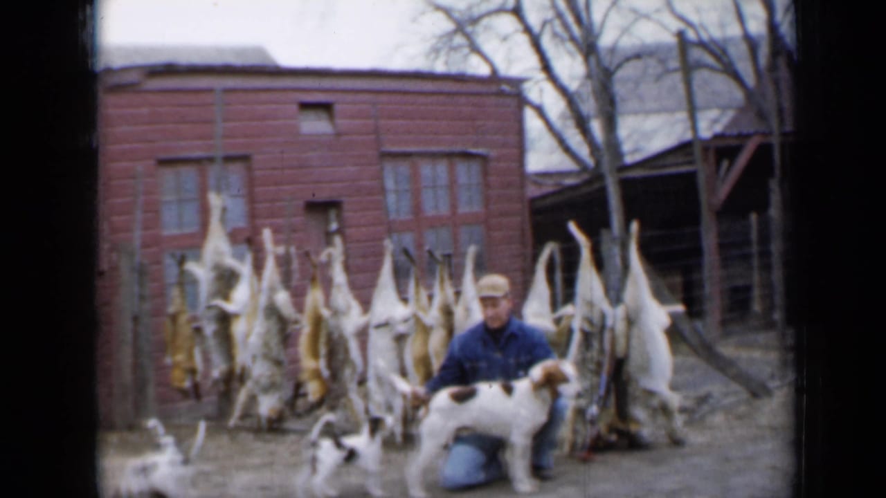 Man kneels with dogs in front of hanging game animals and a red farm outbuilding.