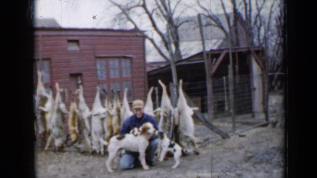 The man remains kneeling in the Minnesota farmyard, holding close to the dogs as hanging game animals line the background.