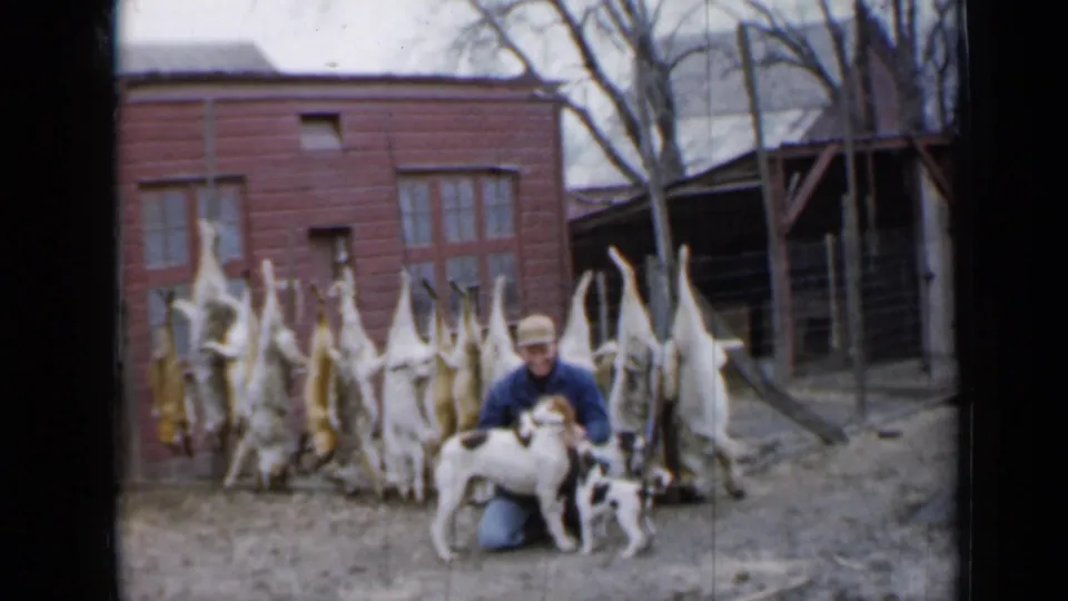 A 1958 Minnesota frame shows the man and dogs lower in the shot, with hanging game animals and a red outbuilding dominating the background.