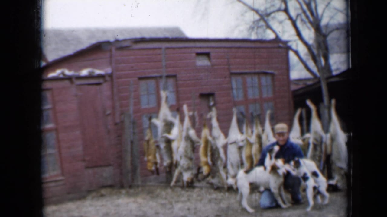 1958 Minnesota home-movie frame with a hunter, dogs, and harvested game hanging outdoors by a red farm structure.