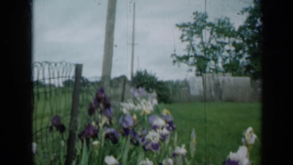 The garden view holds on irises near a fence, with a green Minnesota lawn and trees visible through soft 8mm film grain.