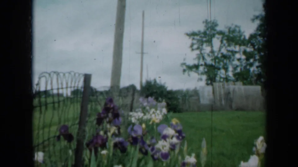 1958 Minnesota 8mm frame showing irises along a wire fence beside a grassy yard, with a road and utility poles in the background.